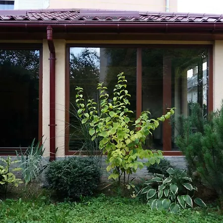Сучасний Котедж У Центрі Сваляви Villa Svaliava